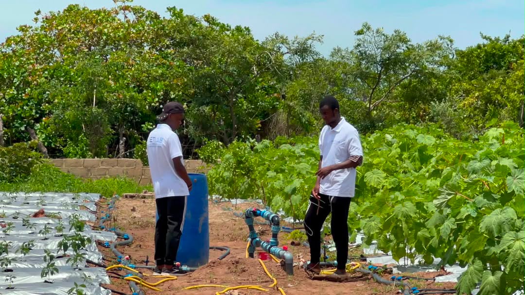 Working with local farmers